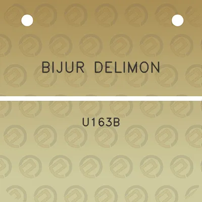 bijur-delimon-u163b