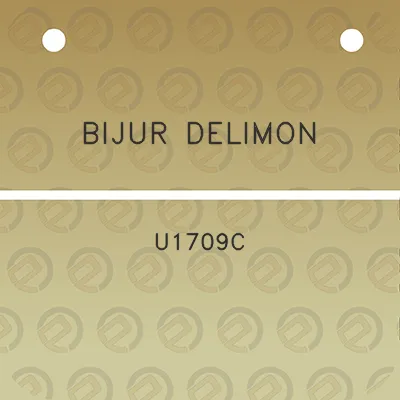 bijur-delimon-u1709c