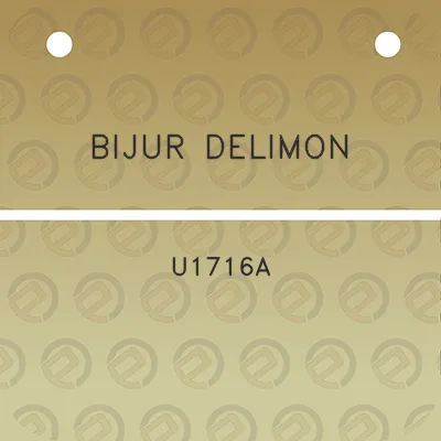 bijur-delimon-u1716a