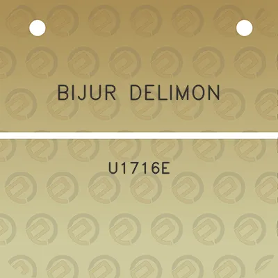 bijur-delimon-u1716e