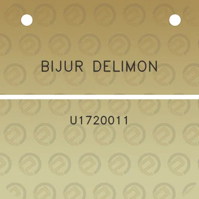 bijur-delimon-u1720011