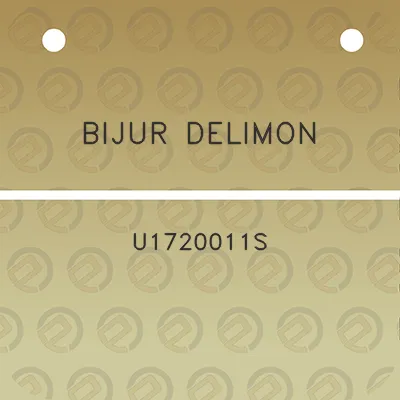 bijur-delimon-u1720011s