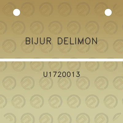 bijur-delimon-u1720013