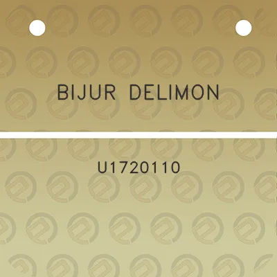 bijur-delimon-u1720110