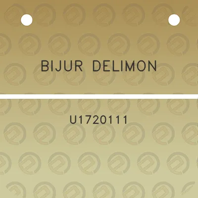 bijur-delimon-u1720111