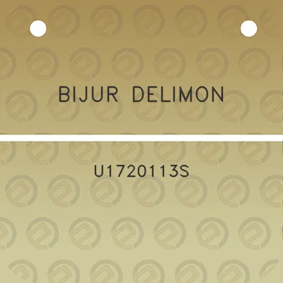 bijur-delimon-u1720113s