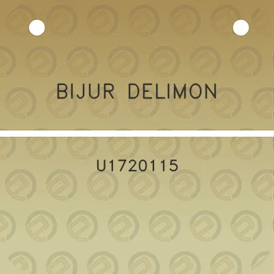 bijur-delimon-u1720115