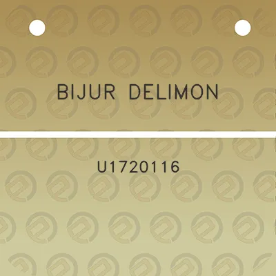 bijur-delimon-u1720116