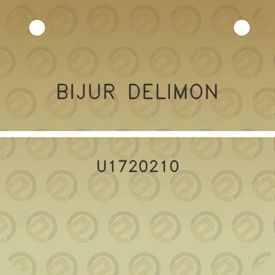 bijur-delimon-u1720210