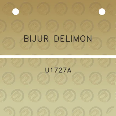 bijur-delimon-u1727a