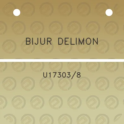 bijur-delimon-u173038