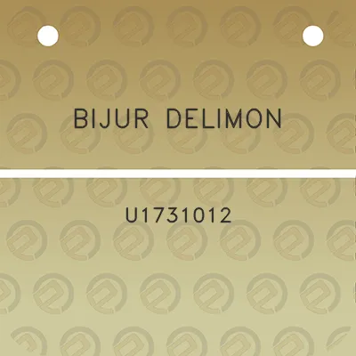 bijur-delimon-u1731012