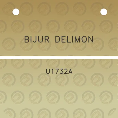 bijur-delimon-u1732a