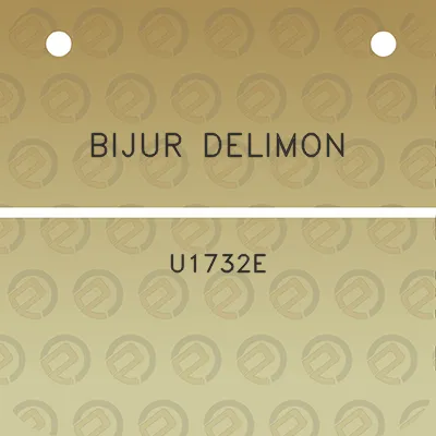 bijur-delimon-u1732e