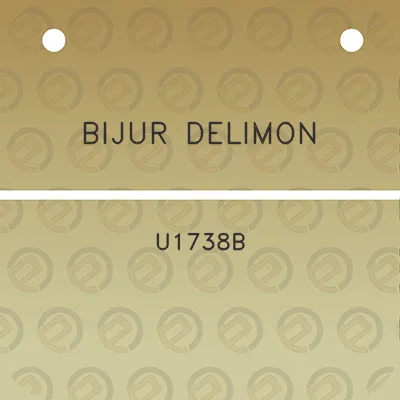 bijur-delimon-u1738b