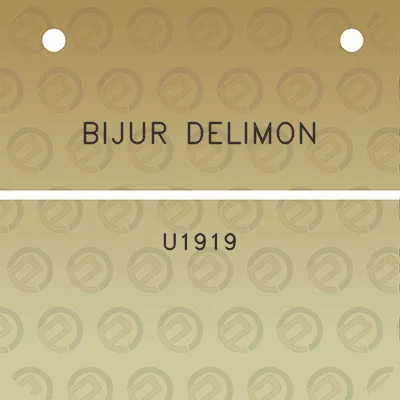 bijur-delimon-u1919