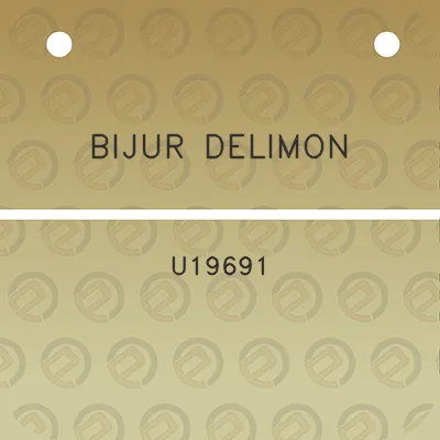 bijur-delimon-u19691