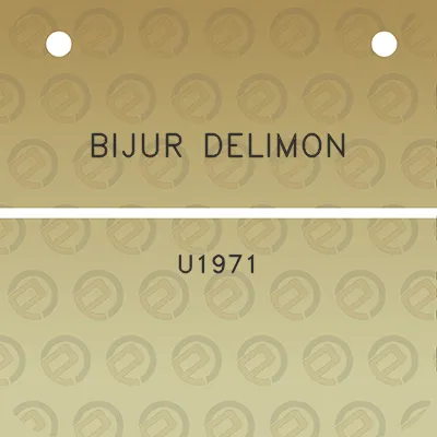 bijur-delimon-u1971