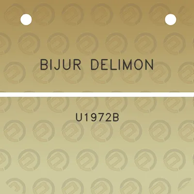 bijur-delimon-u1972b