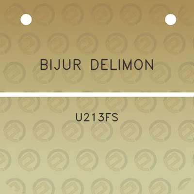 bijur-delimon-u213fs