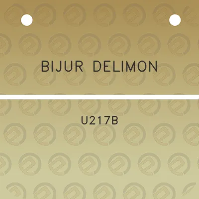 bijur-delimon-u217b