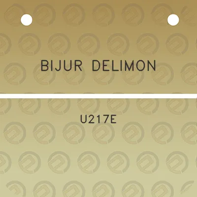 bijur-delimon-u217e