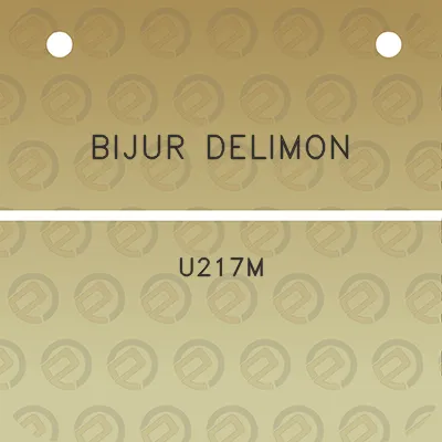 bijur-delimon-u217m