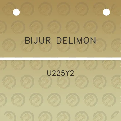 bijur-delimon-u225y2