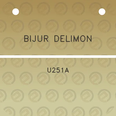 bijur-delimon-u251a