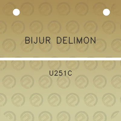 bijur-delimon-u251c