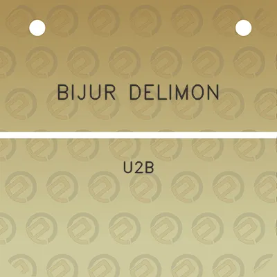 bijur-delimon-u2b