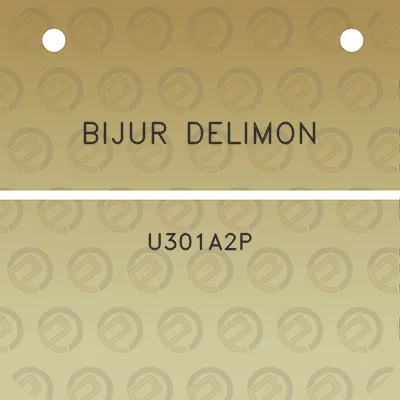 bijur-delimon-u301a2p