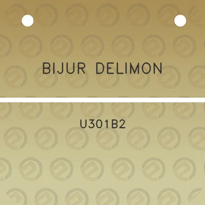 bijur-delimon-u301b2