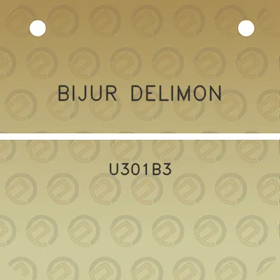 bijur-delimon-u301b3