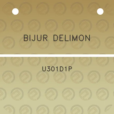 bijur-delimon-u301d1p