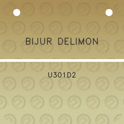 bijur-delimon-u301d2