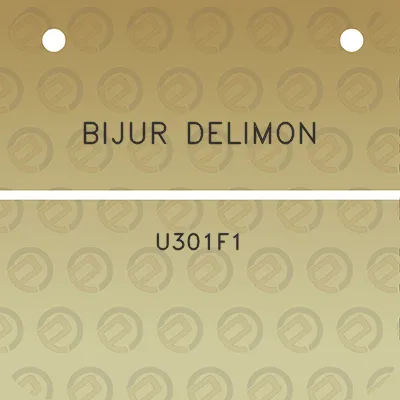 bijur-delimon-u301f1