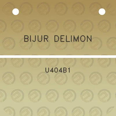 bijur-delimon-u404b1