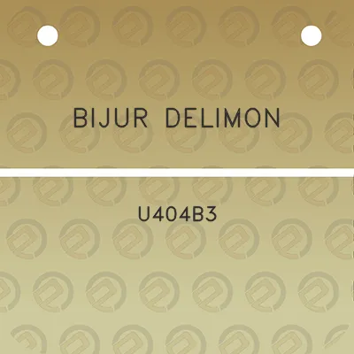 bijur-delimon-u404b3