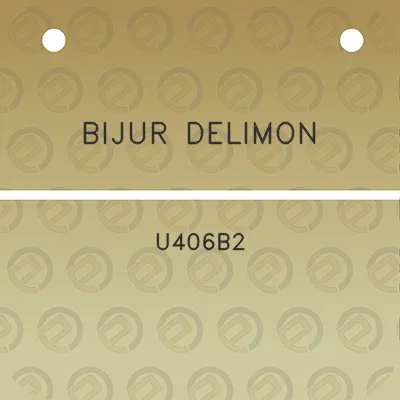 bijur-delimon-u406b2