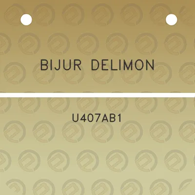 bijur-delimon-u407ab1