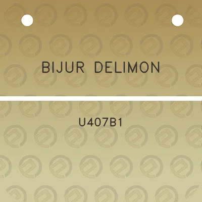 bijur-delimon-u407b1