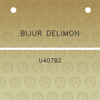 bijur-delimon-u407b2