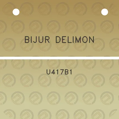 bijur-delimon-u417b1