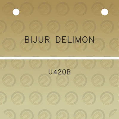 bijur-delimon-u420b