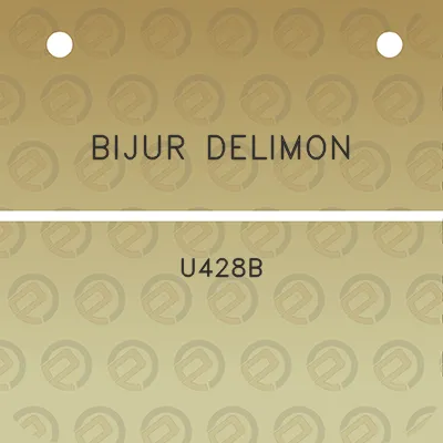 bijur-delimon-u428b