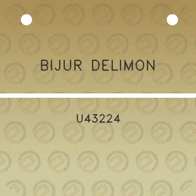 bijur-delimon-u43224