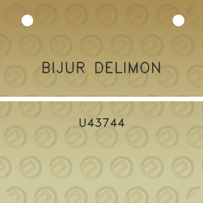 bijur-delimon-u43744