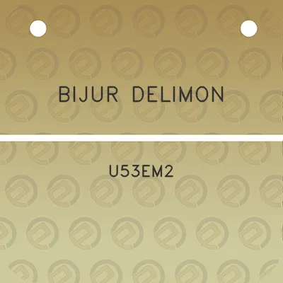 bijur-delimon-u53em2