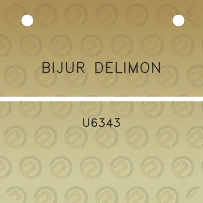 bijur-delimon-u6343